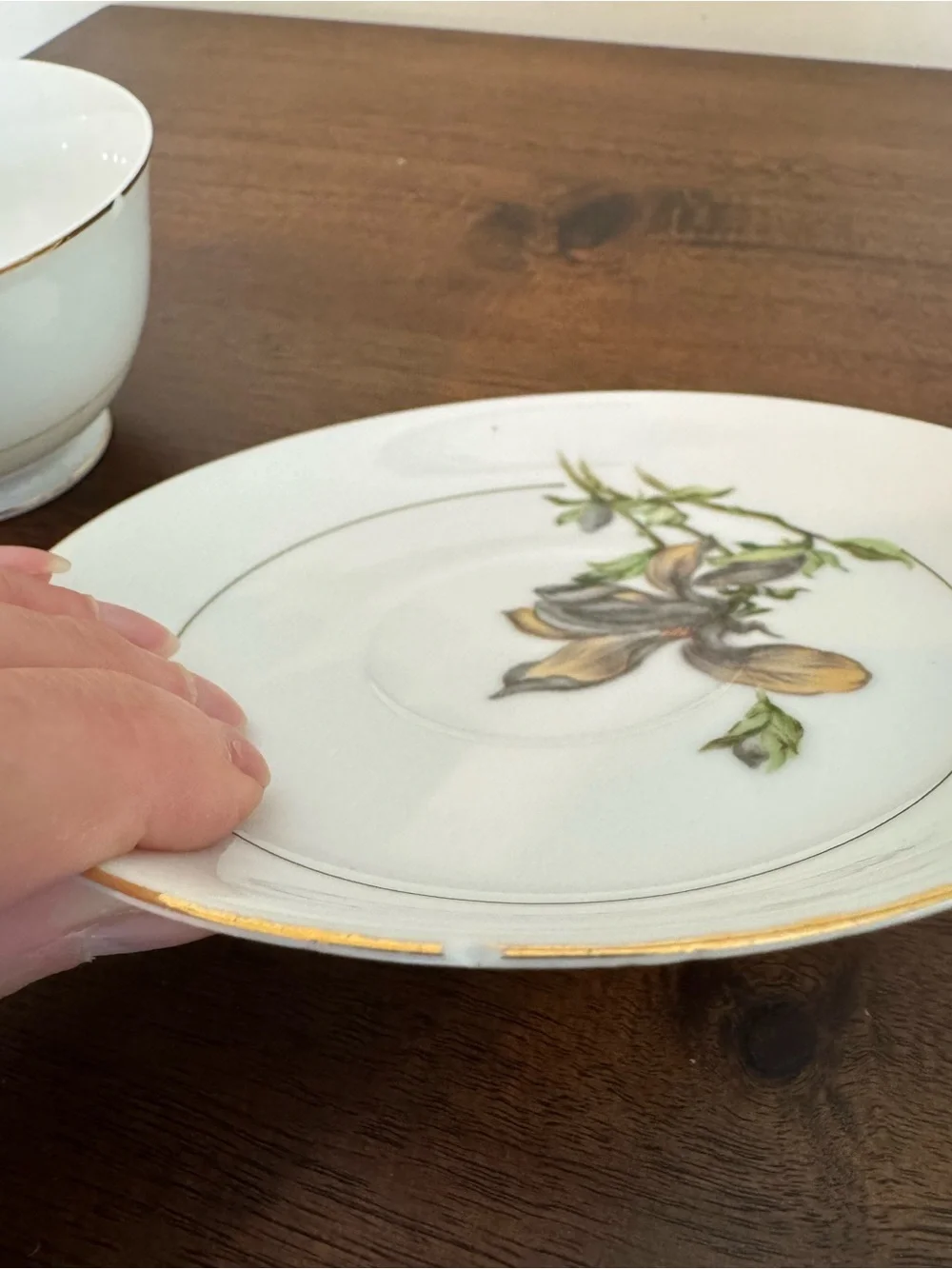 Vintage Harmony House China 